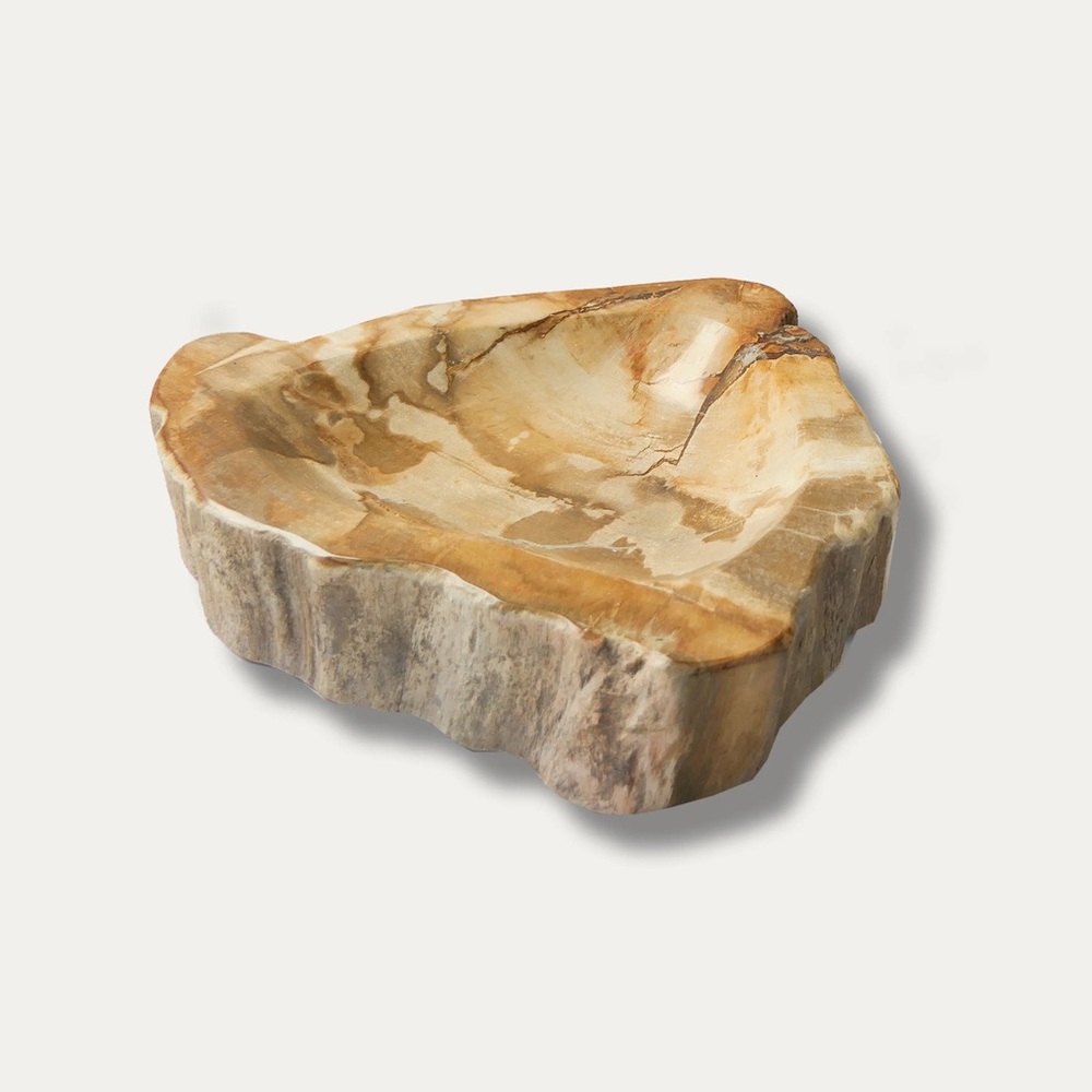 Petrified Wood Display Piece